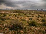 farrokhi-dam-eastern-iran-wild-poppies7.jpg